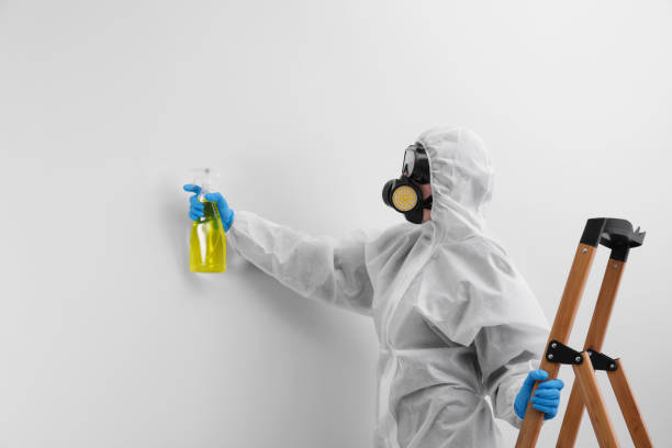 Best Environmental Consulting for Mold Prevention  in Roland, AR